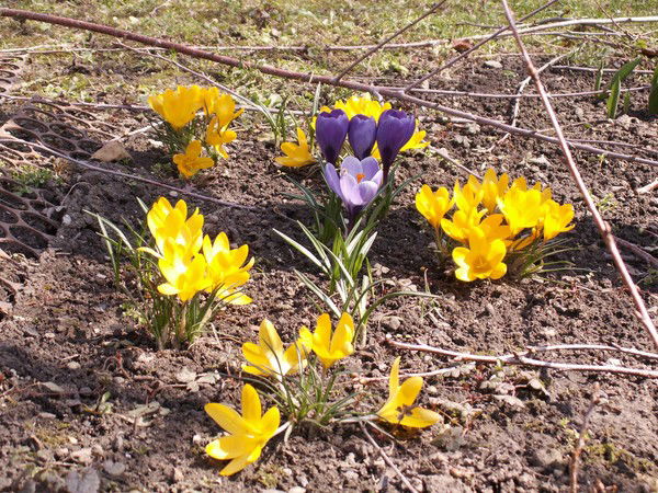 Татьяна Еремина