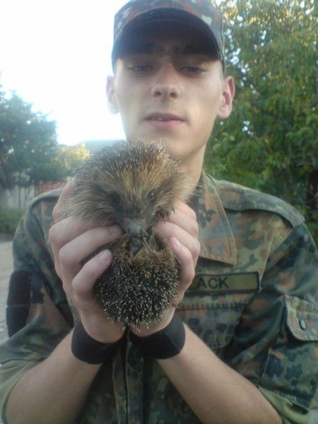 Алексей Маклауд