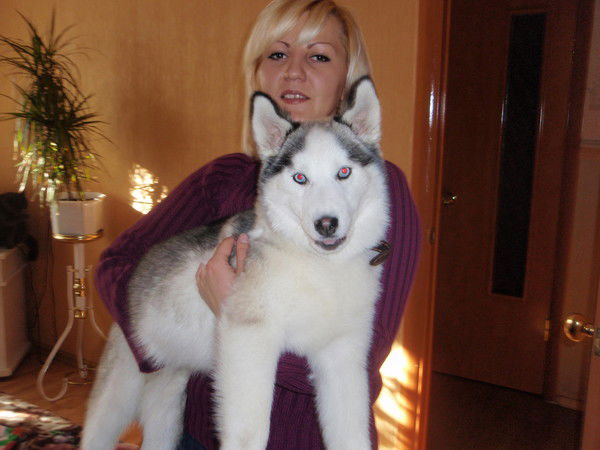 Ван Миколюк