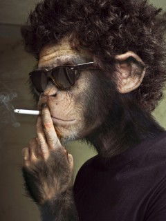 Андрей Подорожный