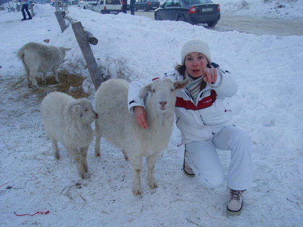 Анна Кузьмина