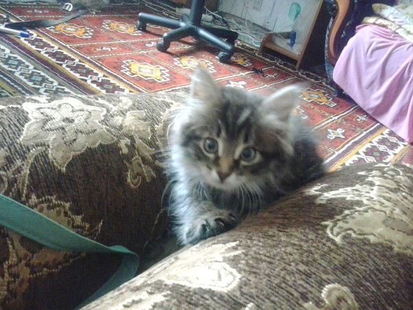 Наташа Ионина