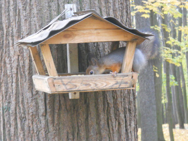 Fedor Mukhametgaleev