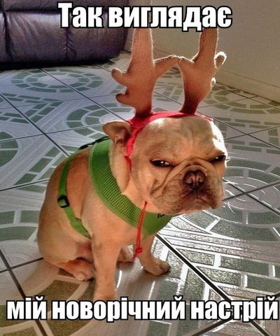 Криштиану Роналду