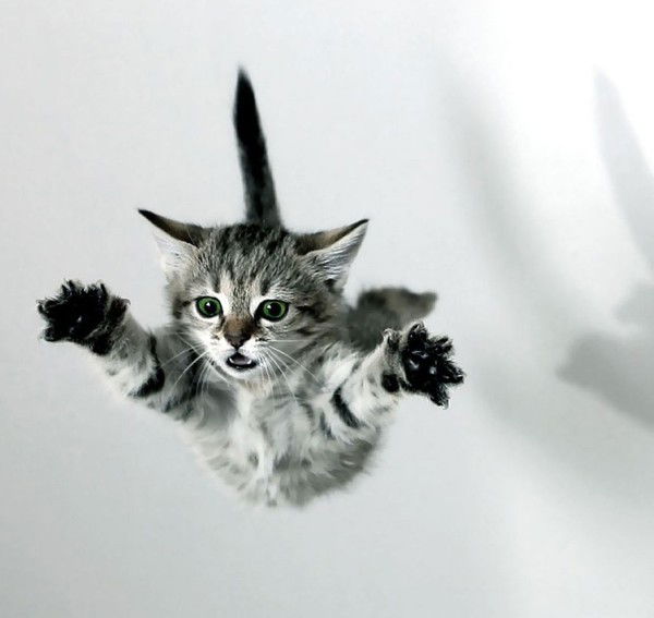 Жексон Лучший