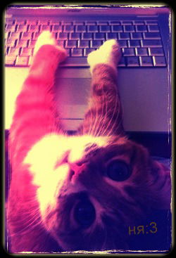 Екатерина Ворлакова