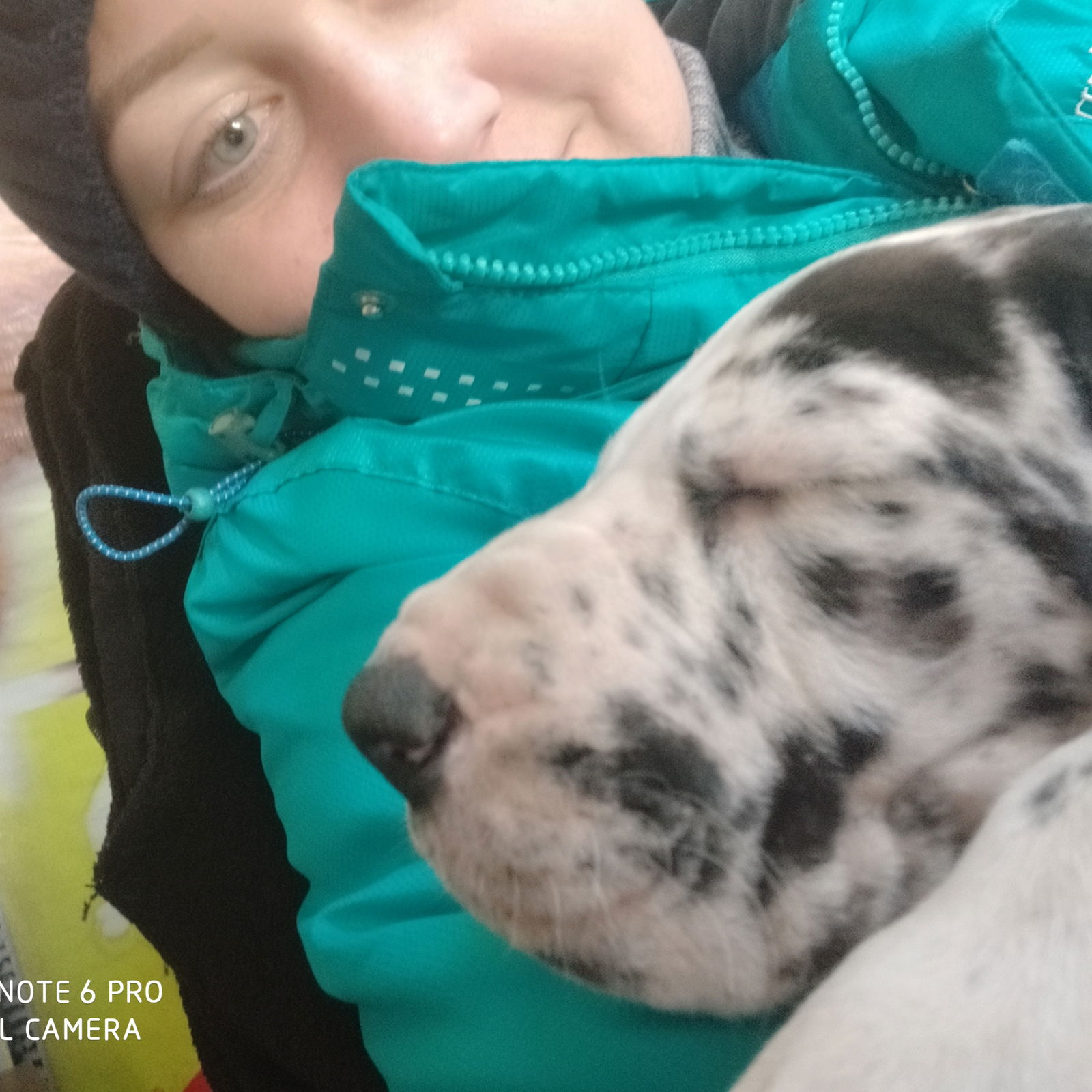 Марина Ласковая