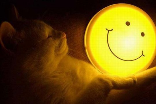 Алла Копельчук