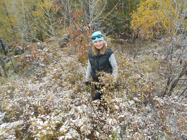 Света Ромащенко