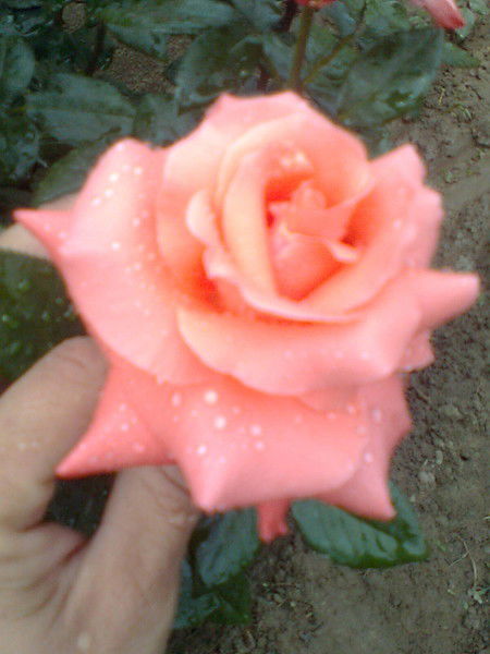 Ергали Оразбаев