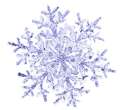 Елена Соколова