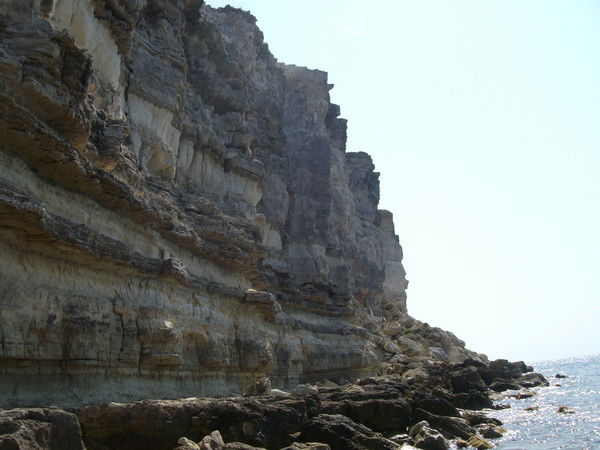 Николай Рокитинец