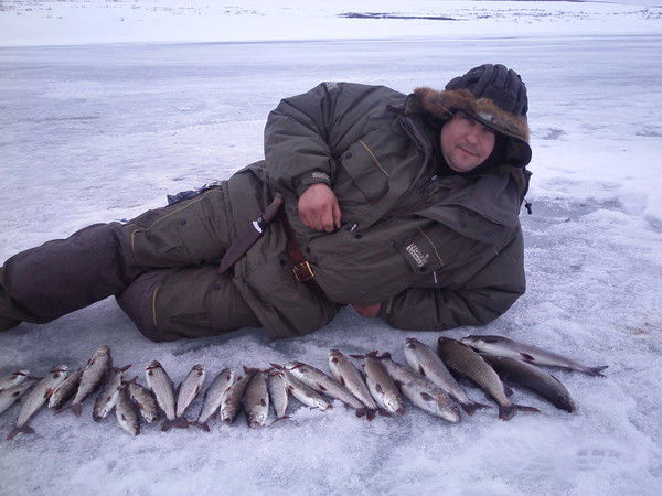 Николай Староверов