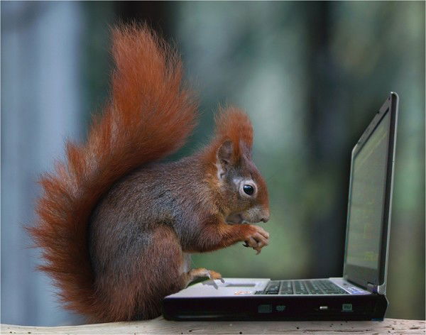 Неля Остапенко