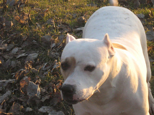 Сара Саркина