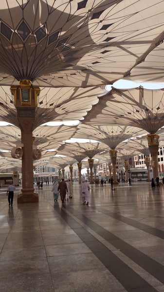 Роза Жагипарова