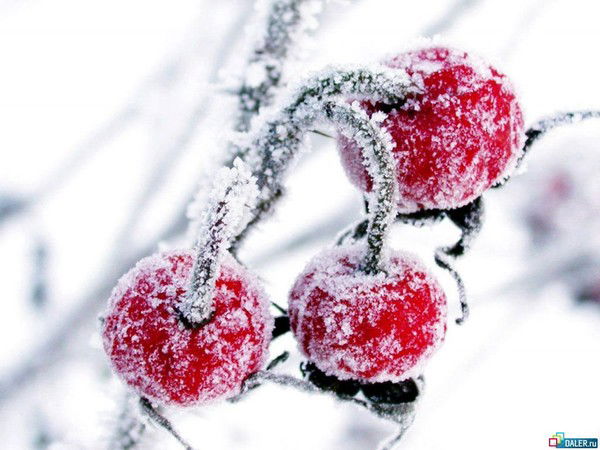 Наталья Якса