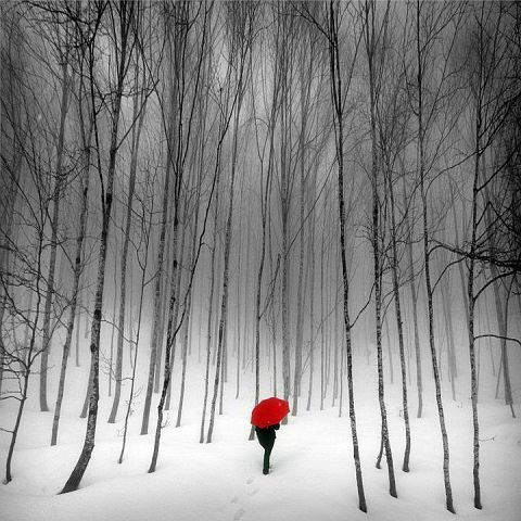 Константин Закомолдин