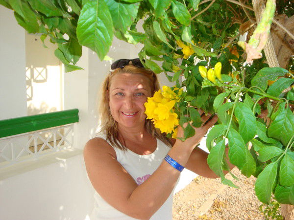 Татьяна Дрозд