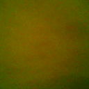 Александр Гриценко