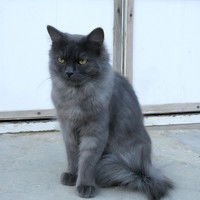 Сандугаш Бектибаева