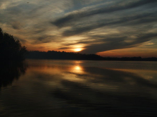 Динара Горшкова