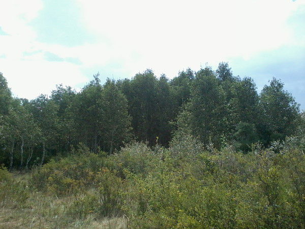 Айдана Канаткызы