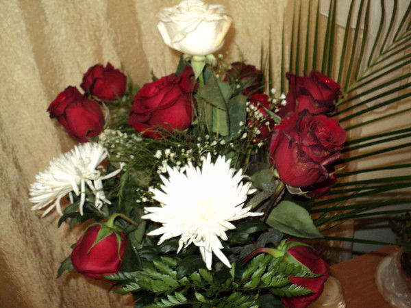 Анастасия Кулешова