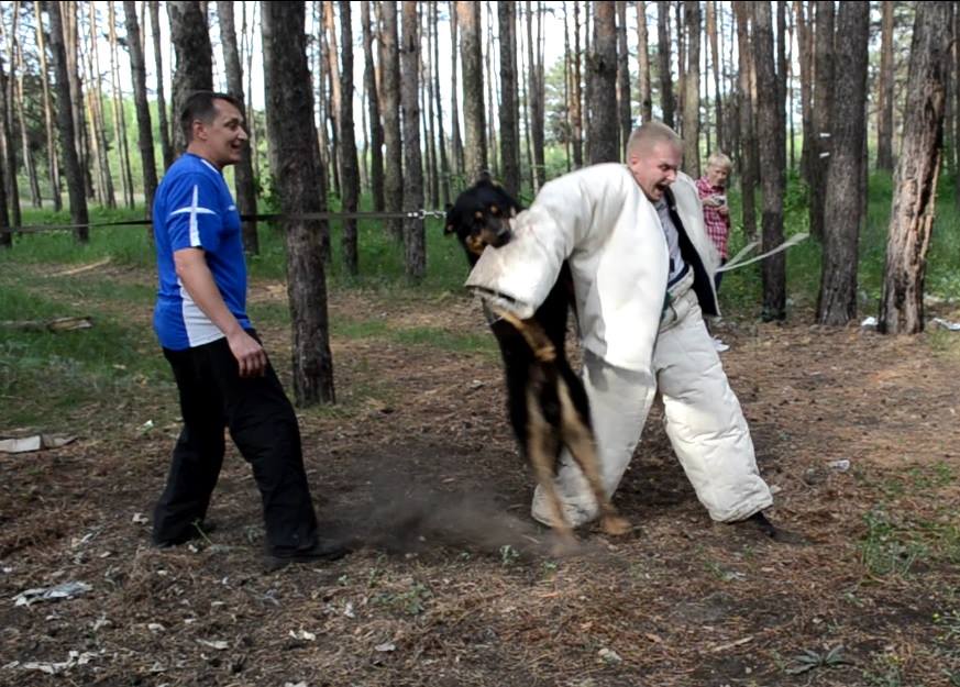 Сергей Лисицын