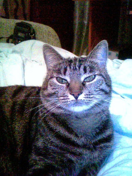 Галина Лошакова