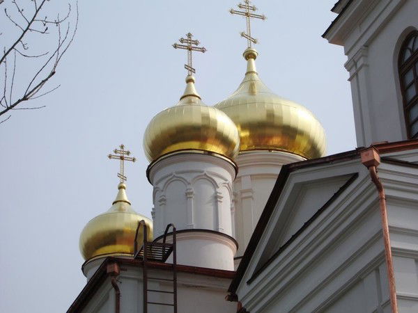 Дима Трубин