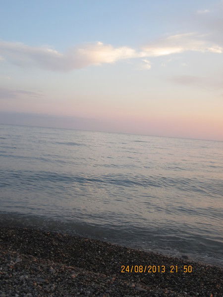 Светлана Голкова