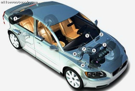 Алексей Рашев