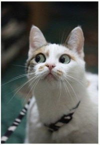 Ирина Из Красноярска