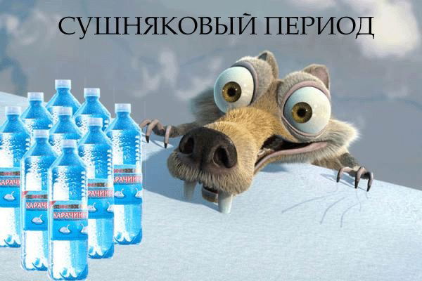 Николай Анисимов