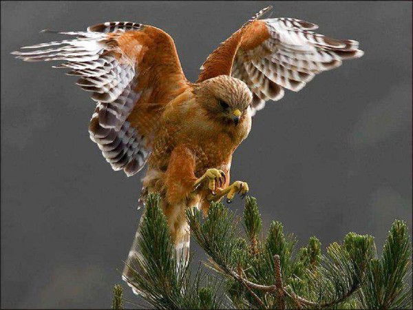 Александр .