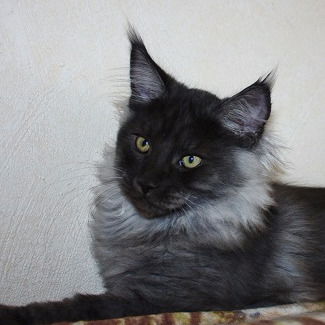 Ира Федоренко