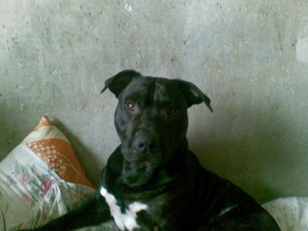 Сергей Мартинюк