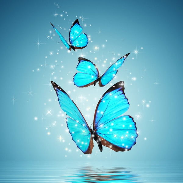 Цех Оператор