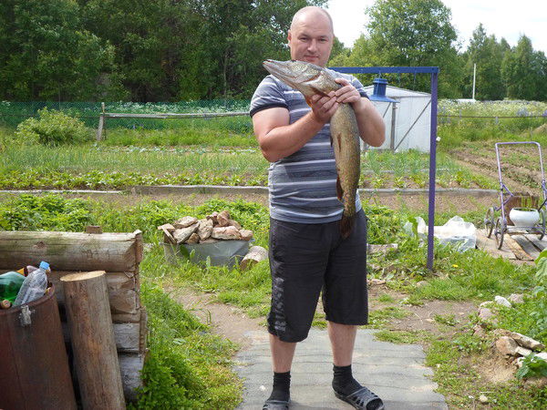 Алексей Иванов