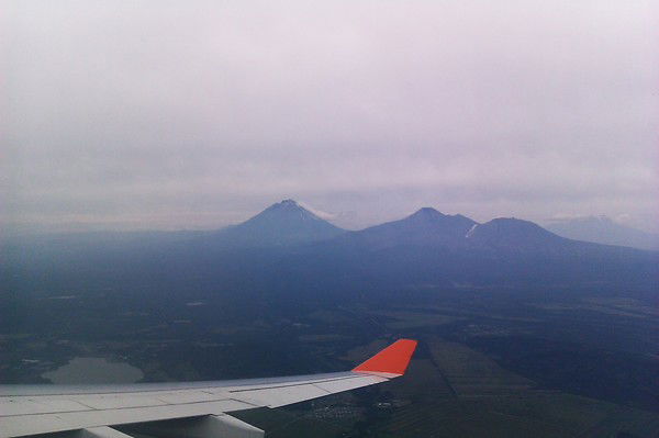 Елена Белоус