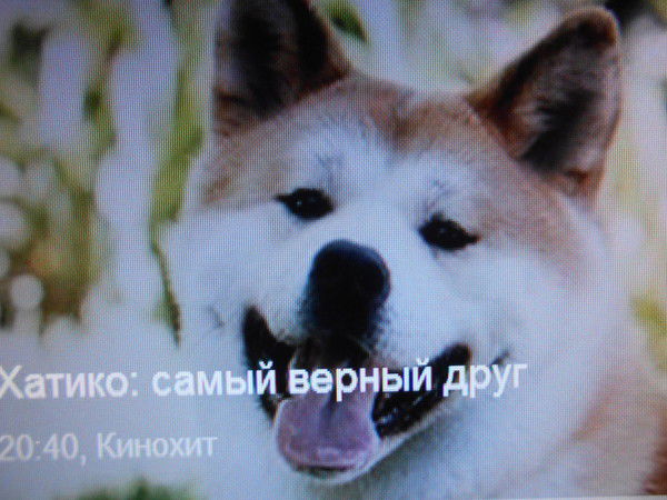 Алексей Колесников