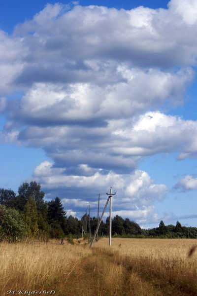 Ильфир Асылгузин