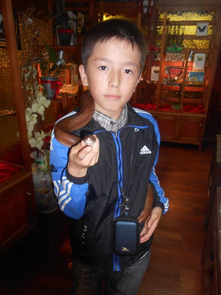 Алихан Адамов