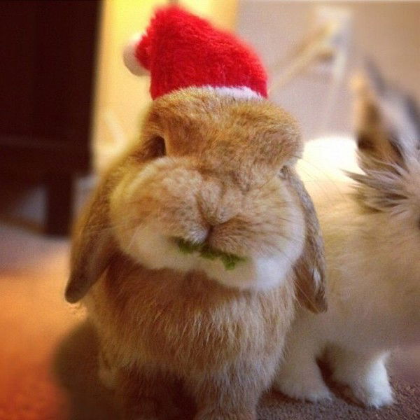 Юлия Ушакова