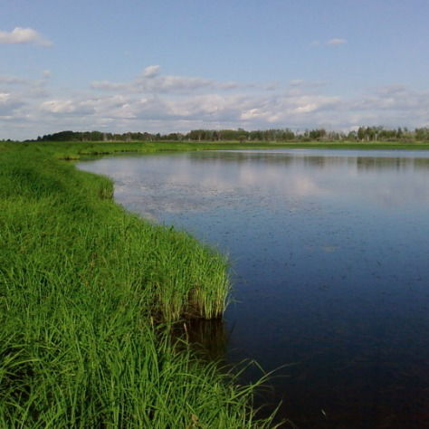 Владимир Сотников