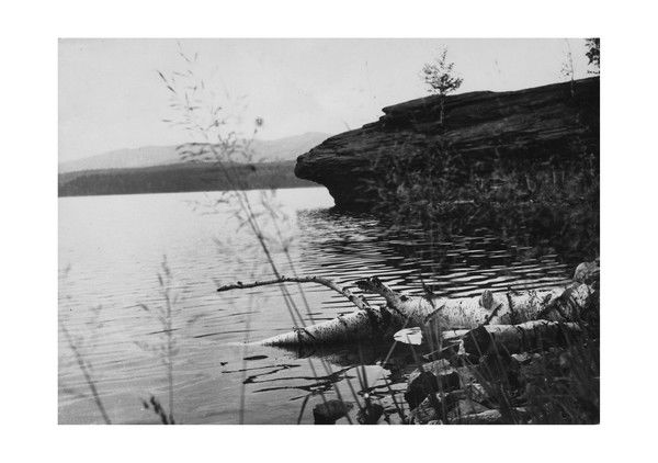 Елена Кашина