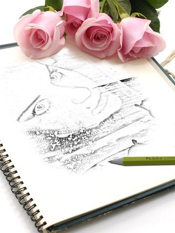 Елена Махнач