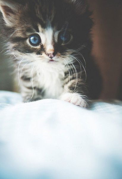 Ася Маратовна