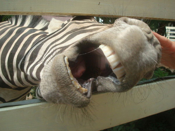 Катерина Эээээх